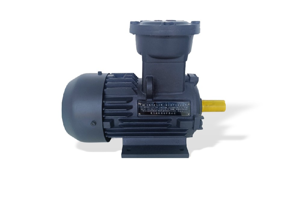 TYBPE 系列高效率永磁防爆電機(jī)